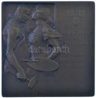 Berán Lajos (1882-1943) 1904. "Trefort Ágoston 1817-1888 / Alapítójának és első elnökének - A M...