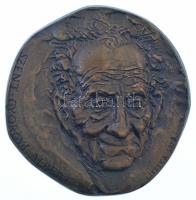 Lisztes István (1942-) 1974. Szent-Györgyi Albert egyoldalas, öntött bronz plakett (~88mm) T:1-