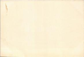 Nagyszalonta, Salonta; látkép az 1907. évben / general view anno 1907 (füzetből / from booklet) (non...