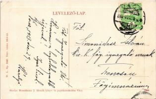 1913 Vác, látkép a Dunával, hajómalom. W.L. Bp. 5087. Rosenbaum J. Henrik kiadása / floating ship mi...