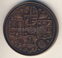 1985. "Szabolcs vezér-Nyíregyháza" Br emlékérem T:2