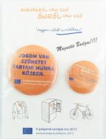 A polgárok európai éve 2013 hűtőmágnes / mágneses kitűző