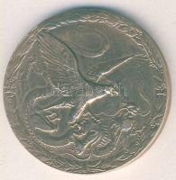 Német Birodalom/Császárság 1901. Kína-Emlékérem Harcolóknak Br aranyozva T:2- fülhiány, eldolgozva