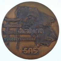 DN Kórházakért - Hadifoglyokért - Tüdőbetegekért - SAS (Siess-Adj-Segíts) egyoldalas, öntött bronz plakett (149mm) T:1-