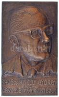 DN Prof. Dr. Kiszelly György - SZOTE - Orvosi Biológiai Intézet egyoldalas, öntött bronz plakett (182x110mm) T:1-,2