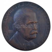Berán Lajos (1882-1943) DN Semmelweis Ignácz Fülöp 1818-1865 egyoldalas bronz lemezplakett (91mm) T:1-