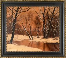 Mednyánszky jelzéssel: Téli táj. Olaj, vászon. Dekoratív, kissé sérült fa keretben. 50x60 cm