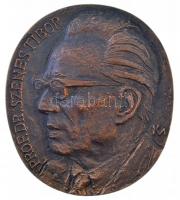 Kalmár Márton (1946-) DN Prof. Dr. Szenes Tibor / A Szegedi Röntgen Klinika első igazgatójának - Tanítványai és munkatársai kétoldalas, öntött bronz plakett (103x91mm) T:1-
