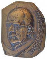 Tápai Antal (1902-1986) DN Prof. Hans Götz egyoldalas, öntött bronz plakett (157x125mm) T:1-,2