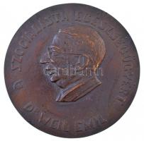 ~1980. Dr. Weil Emil - A Szocialista Egészségügyért / Orvos-Egészségügyi Dolgozók Szakszervezetének Központi Vezetősége nagyméretű, kétoldalas, öntött bronz plakett. Szign.: BL (175mm) T:2