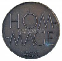 Borsos Miklós (1906-1990) DN "Dr. Szent-Györgyi Albert / Hommage" kétoldalas, öntött bronz...