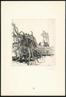 1980 Magyar Kisgrafika. A XVIII. Linzi Ex Libris Kongresszus magyar ajándékmappája. Bp., 1980., Kisg...