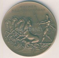 Ausztria 1932. "Wiener Regattaverein 50 éves" nagyalakú Br emlékplakett átm:50mm szign.Grienauer T:2