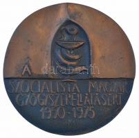 Ligeti Erika (1934-2004) 1975. A Szocialista Magyar Gyógyszerellátásért 1950-1975 kétoldalas bronz plakett, eredeti tokban (97mm) T:1-