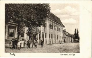 Felek, Freck, Avrig; Sanatorul in Fata / szanatórium / sanatorium
