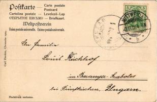 1904 Mittweida, Mikroskop-Postkarte. Der Auensteig, Dreiwerden, Der Waldfriede, Markt, Technikum, Al...