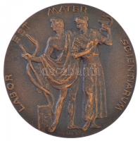 Reményi József (1887-1977) 1974. "Doktor Bóna Endre 1974 / LABOR EST MATER SCIENTIARUM" ké...