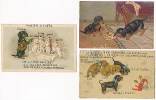 3 db RÉGI kutyás képeslap: tacskók / 3 pre-1945 dog postcards: Dachshund