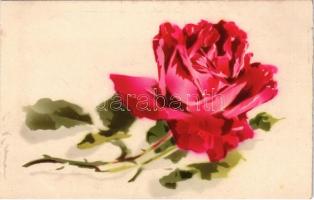 1917 Rose. Amag Nr. 1217. s: C. Klein