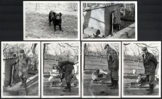 cca 1960-1980 Idős házaspár kerti munka közben, fotósorozat 14 db fotóval, hátoldalukon ragasztásnyommal, 12,5x9 cm