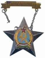 1953. Sztahanovista zománcozott fém kitüntetés T:2 egyik oldalon elszakadt a lánc