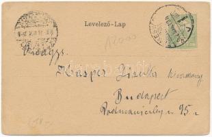 1902 Temesvár, Timisoara; Józsefvárosi bérház. Szecessziós címeres litho / Iosefin tenement house. A...