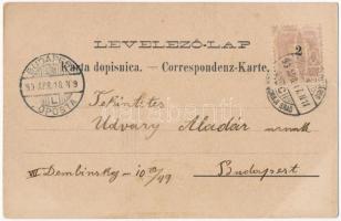1899 (Vorläufer) Eszék, Osijek, Essegg; Oba dravska mosta / Die beiden Draubrücken / Drava railway b...