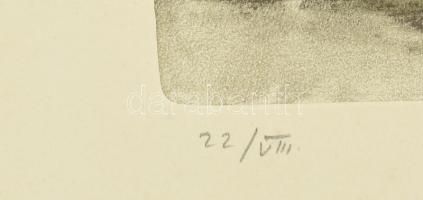 Vass Elemér (1887-1957): Tetők a Champs de Marson, Párizs. Litográfia, papír, jelzett, számozott (22...