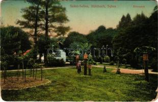 1912 Szászsebes, Mühlbach, Sebesul Sasesc, Sebes; Erlenpark (ázott / wet damage)
