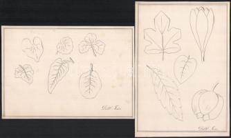 cca 1870 Döttl Teréz 18 db rajz. Házak, tájak, formák. Ceruza, papír, mind jelzett. 26x18 cm