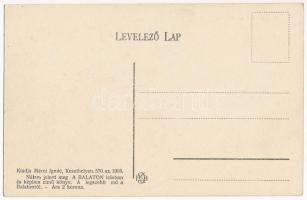 Szántód, Balatoni révcsárda ökrökkel. Mérei Ignác 570. 1908