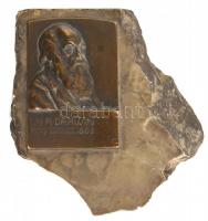 Sződy Szilárd (1878-1939): Darwin bronz dombormű, márvány talapzaton, 6×4 cm