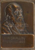 Sződy Szilárd (1878-1939): Darwin bronz dombormű, márvány talapzaton, 6×4 cm
