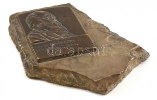 Sződy Szilárd (1878-1939): Darwin bronz dombormű, márvány talapzaton, 6×4 cm