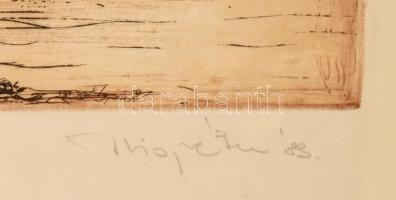 Kiss Péter (1957-): A nagy fa. Rézkarc, papír, jelzett. Számozott: 39/100. Üvegezett fa keretben. 29...