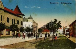 1917 Beregszász, Berehove, Berehovo; Andrássy utca / street