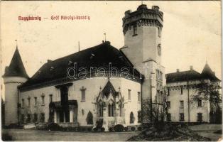 Nagykároly, Carei; Gróf Károlyi kastély / castle (EB)