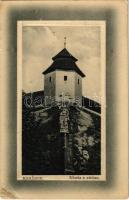 1913 Komárom, Komárnó; Kőszűz a várban. W.L. Bp. Ideal 1912-15. Pollak Olga kiadása / castle monument (EK)