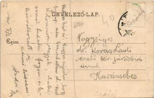 Temesvár, Timisoara; Józsefvárosi elemi iskola. Polatsek kiadása / school (EB)