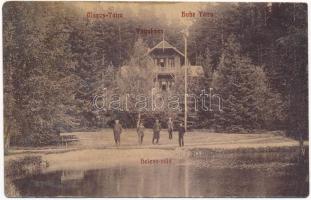 Tátraháza, Mlynceky (Magas Tátra, Vysoké Tatry); Helena villa / villa (ázott / wet damage)