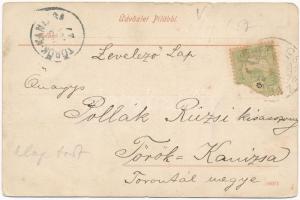 1905 Gidrafűrész, Pila, Sägmühl, Píla; látkép, Villa Bolla. Horovitz Adolf kiadása / general view, v...