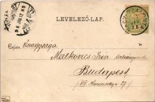 1906 Nagyszalonta, Salonta; Részlet a Piac és Vasút utcáról, Róth Mór, Mogyorós Gergely, Salamon Árm...