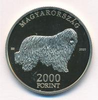 2020. 2000Ft Cu-Ni-Zn "Komondor" T:P Adamo EM411