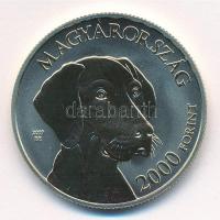 2019. 2000Ft Cu-Ni-Zn "Magyar vizsla" T:P