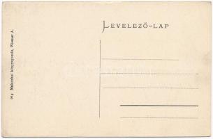 Stomfa, Stampfen, Stupava; látkép. Malaczkai könyvnyomda (Wiesner A.) kiadása / general view (EK)