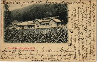 1901 Koritnyica, Korytnica; nyaraló. Kohn A. kiadása / villa (r)