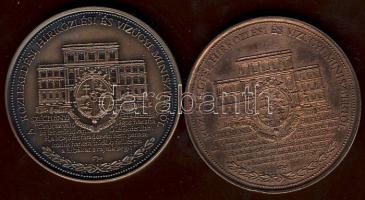 1991. "Széchenyi" Br érempár matt-fényesbevonat T:2