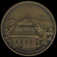 DN "Szabolcsi Zsinat - Szt.László" Br emlékérem T:2