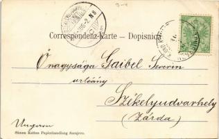 1905 Sarajevo, Alifakovac-Parthie / street view (EK)