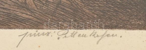 August Pettenkofen (1822-1889) festménye után, olvashatatlan jelzéssel: Szerelmesek. Rézkarc, papír,...